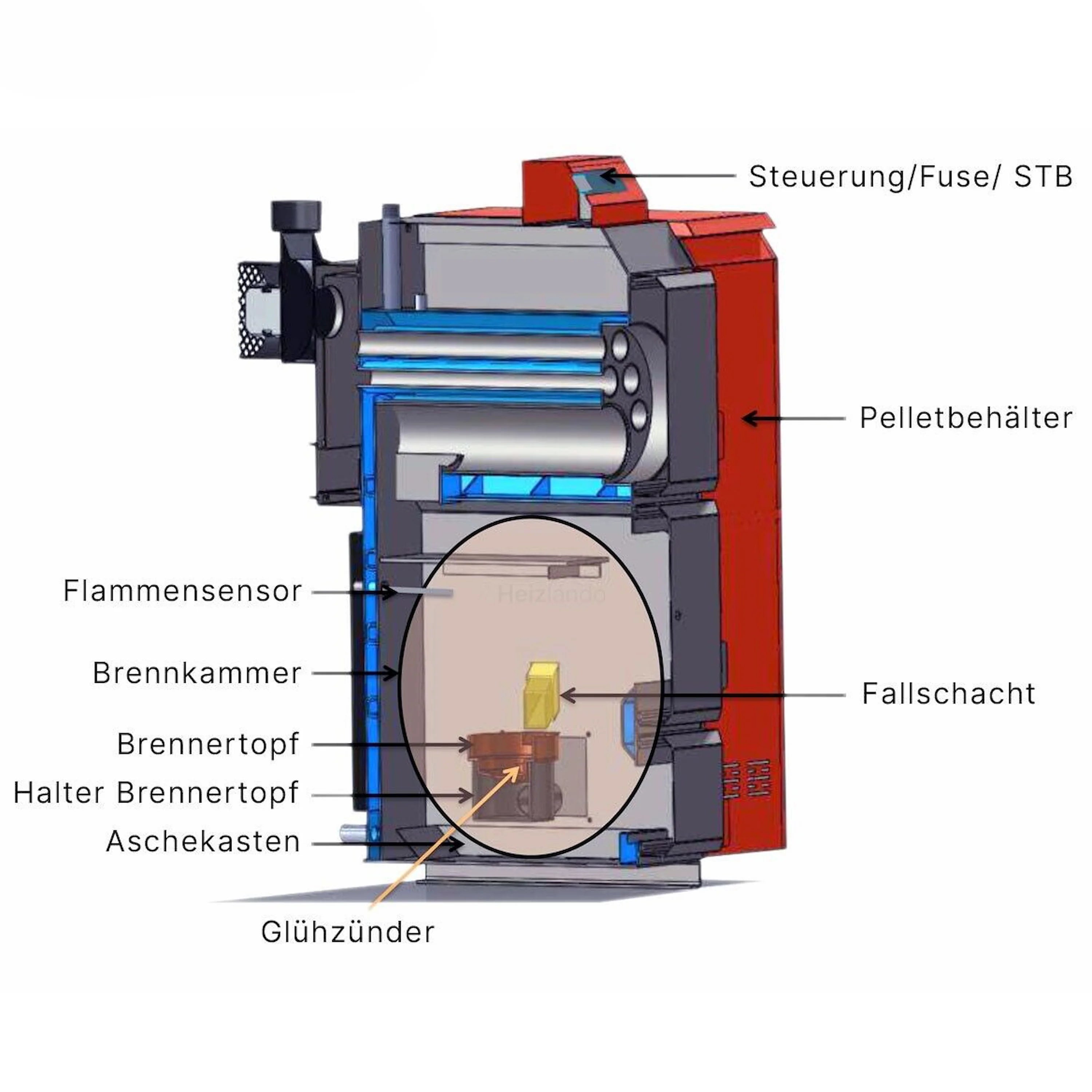Querschnitt eines Pelletkessel Thermoflux Pelling mit Komponenten, umweltfreundliche Heizlösung
