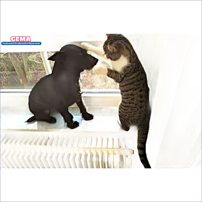 Katze und Hund auf einem Heizkörper neben Pelletkessel Defro Bioslim 20 kW