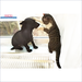 Katze und Hund auf einem Heizkörper neben Pelletkessel Defro Bioslim 20 kW